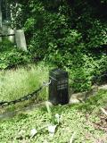 image of grave number 257684
